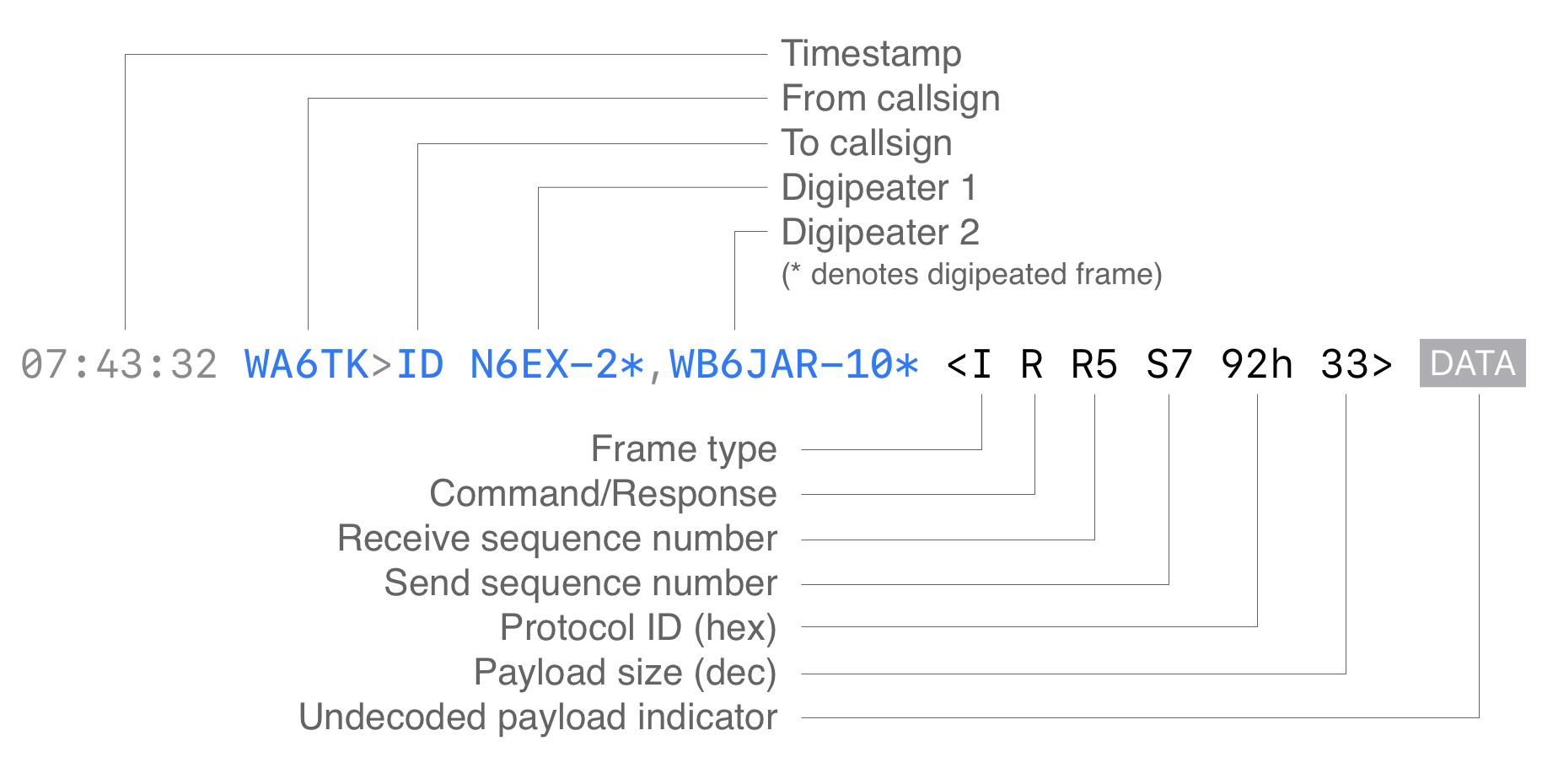 monitor frame anatomy